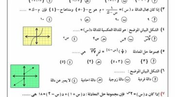 مراجعات نهائية.. امتحان الرياضيات البحتة القناطر الخيرية 2025 لـ الصف الثاني الثانوي – الجريدة