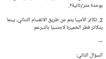 مراجعات نهائية.. حل امتحان العلوم محافظة الاسكندرية لـ الصف الثالث الإعدادي 2025 – الجريدة