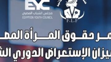 غدا… انطلاق أعمال مؤتمر منتدى القيادات النسائية بمجلس الشباب المصري حول حقوق المرأة المصرية – الجريدة