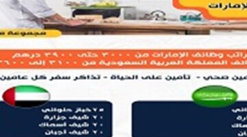 وزير العمل يُعلن عن فُرص عمل جديدة في الإمارات والسعودية – الجريدة