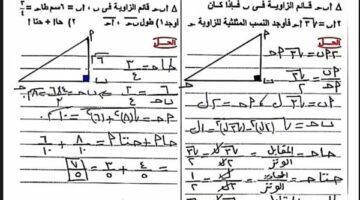 مراجعات نهائية.. بنك أسئلة يضم أكثر من 100 سؤال بالاجابات في الهندسة وحساب المثلثات لـ الشهادة الإعدادية – الجريدة