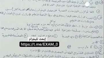 مراجعات نهائية.. حل امتحان الدراسات الاجتماعية الدقهلية لـ الصف الثالث الإعدادي 2025 – الجريدة