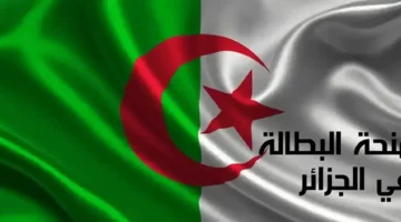 طريقة تجديد منحة البطالة كل 6 أشهر والشروط المطلوبة