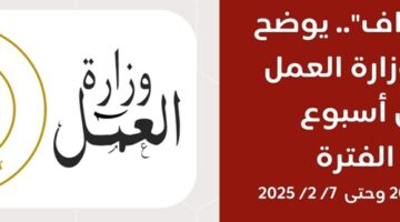 “إنفوجراف” و”فيديو”.. حصاد وزارة العمل في 7 أيام – الجريدة