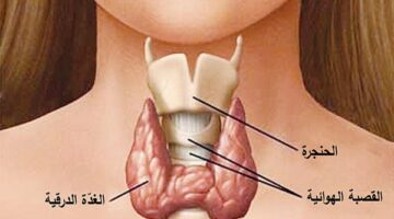 مادة تحمي من سرطان الغدة الدرقية.. اكتشفها – الجريدة