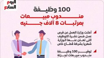 100 فرصة عمل كمندوب للمبيعات بمرتبات 8 آلاف جنيه.. إنفوجراف – الجريدة