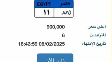 طرح لوحة سيارة مميزة تحمل رقم “نـ سـ ر – 11” بسعر 900 ألف جنيه – الجريدة