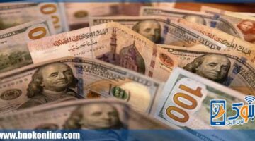 سعر الدولار في مصر اليوم الخميس 13-2-2025 | أسعار العملات – الجريدة