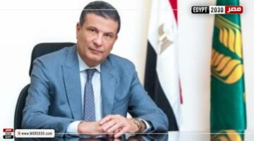 وزير الزراعة: بدء انخفاض أسعار الدواجن والبيض منذ قرار فتح الباب للاستيراد | توك شو – الجريدة