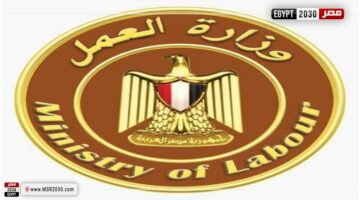 وزير العمل: الإعلان غدا عن التدريب على 1450 وظيفة للمصريين في إيطاليا | الأخبار – الجريدة