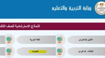 حمل الآن .. النماذج الاسترشادية لـ امتحانات الثانوية العامة 2025 في “الكيمياء” – الجريدة