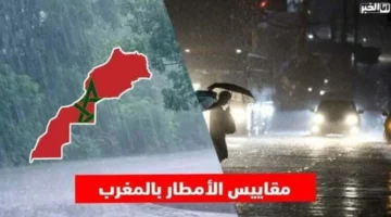 مقاييس التساقطات المطرية بالمملكة خلال الـ 24 ساعة الماضية – الجريدة