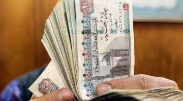 عاجل| زيادة العلاوة الدورية بنسبة 15 % لهذه الفئات بداية من مارس.. تفاصيل – الجريدة