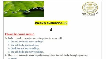تقييمات الأسبوع السادس لأحياء لغات ثانوية