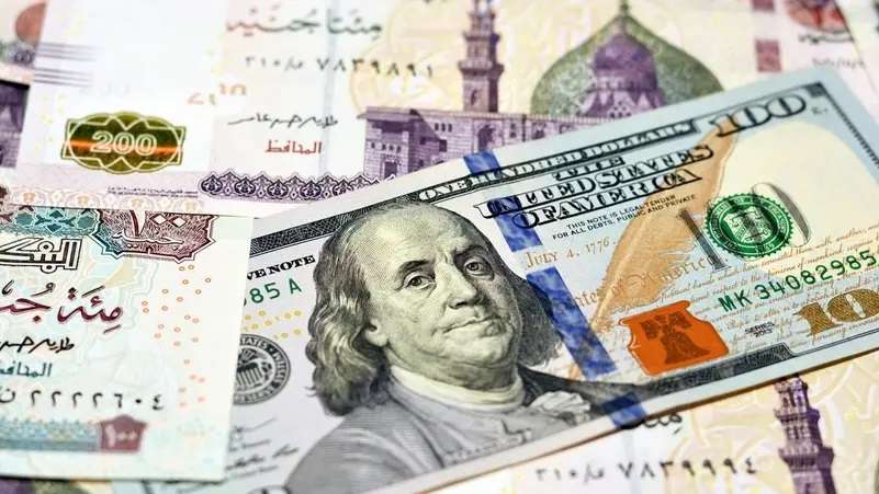 1740999243 764 سعر صرف الدولار أمام الجنيه المصري 1739969076 0