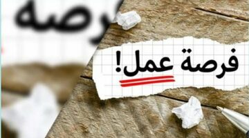 فرص عمل في دول عربية براتب 8000 ريال شهريًا.