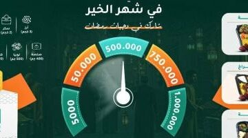 حياة كريمة: تخصيص الميزانيات الإعلانية بالكامل لتوفير المساعدات المباشرة – الجريدة