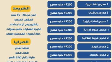 24 فرصة عمل لمدرسين بإحدى دول الخليج براتب 49 ألف جنيه – الجريدة